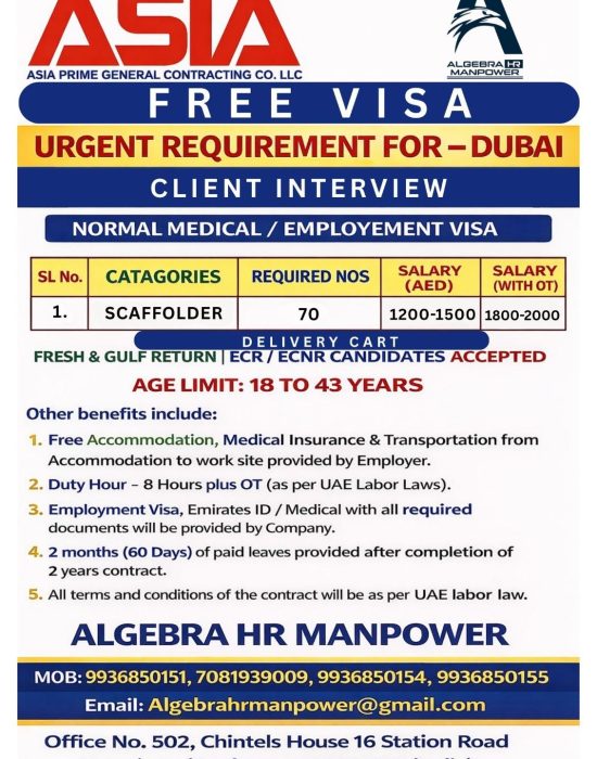 WhatsApp Image 2026-02-11 at 5.19.06 PM